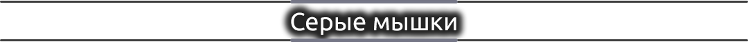 serie-mishki.png